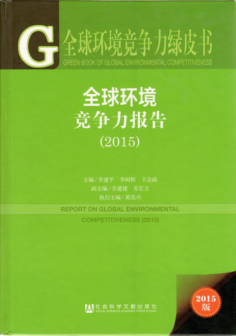 少妇抽插91全球环境竞争力报告（2017）